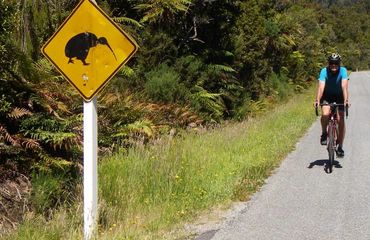 Cyclist riding past a kiwi road sign