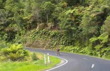 Cyclist riding on rural road