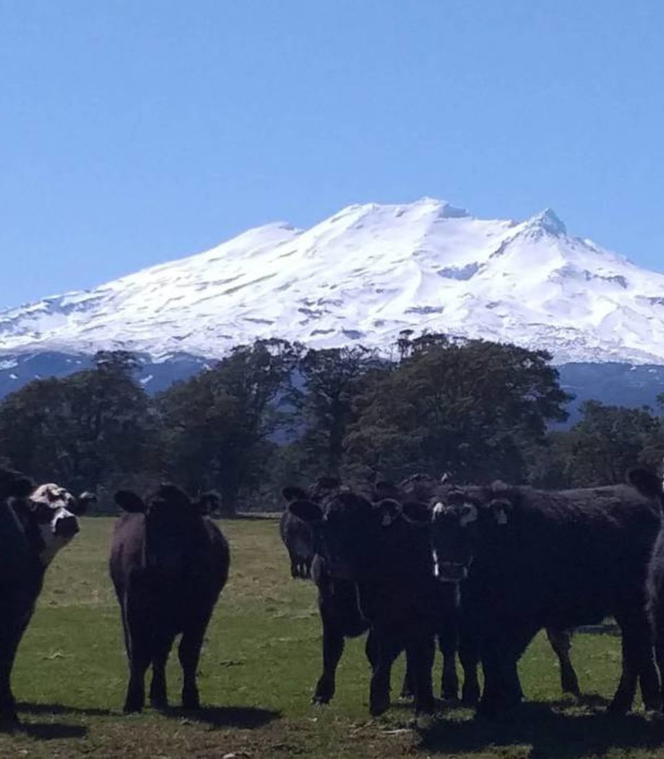 Observe epic views on this memorable bike tour of NZ