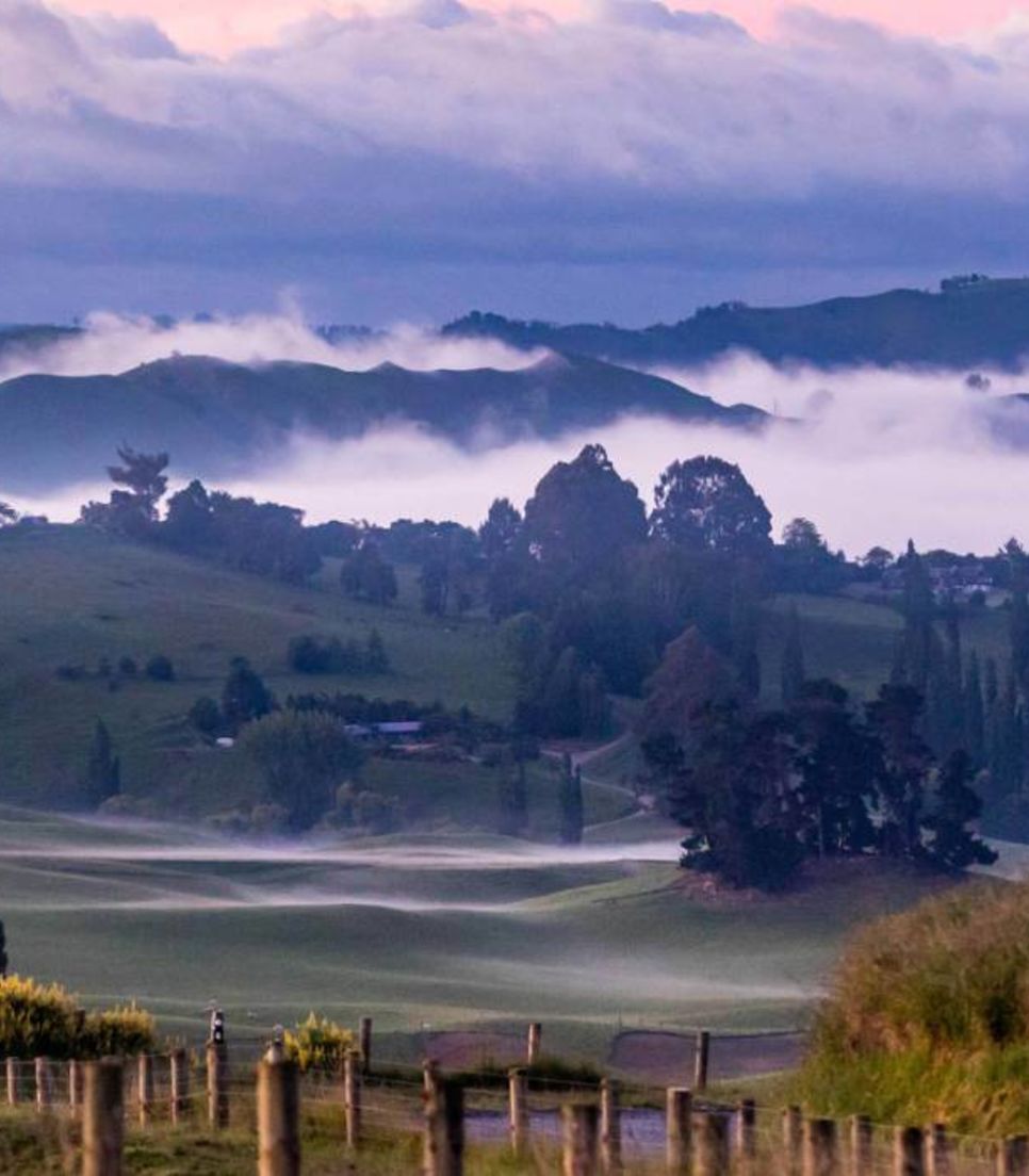 Discover a beautiful part of the North Island 