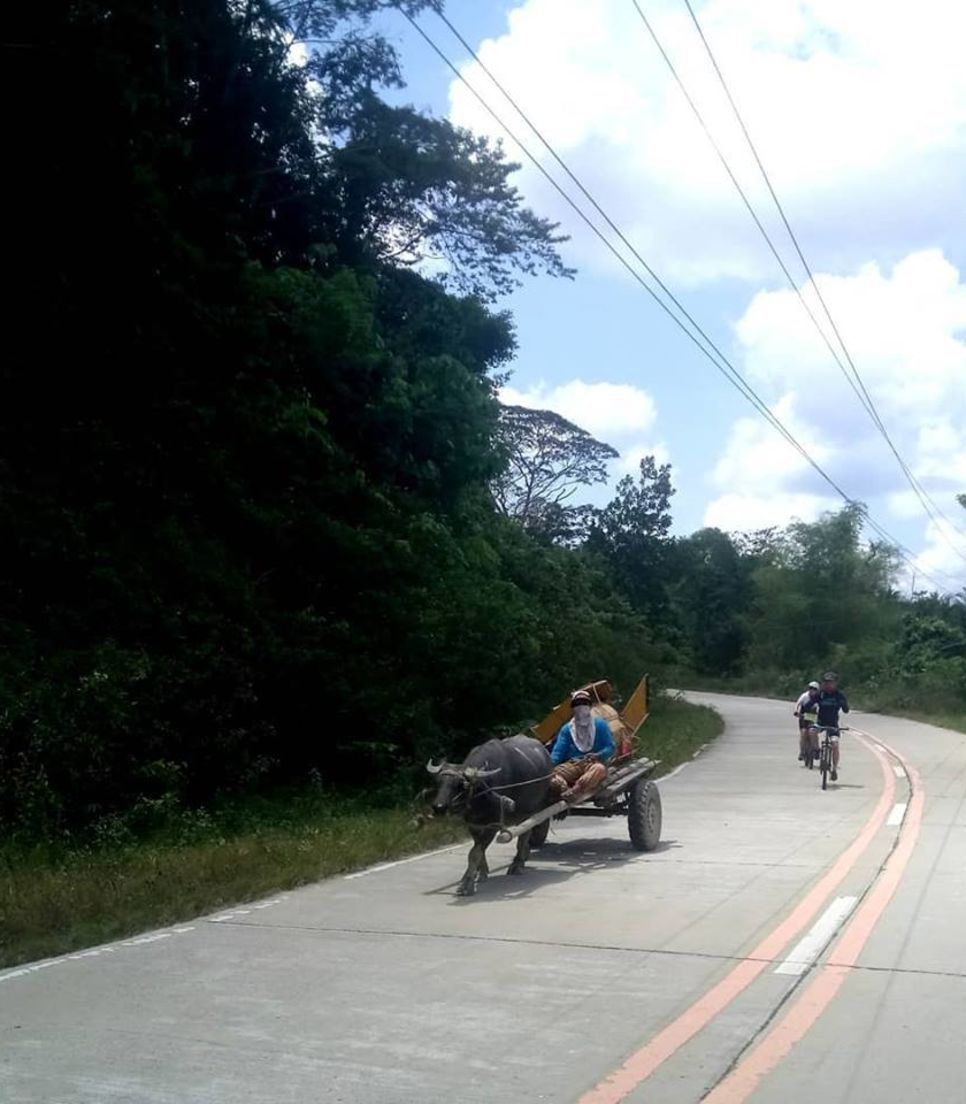 Pedal your way to unexpected discoveries and captivating sights