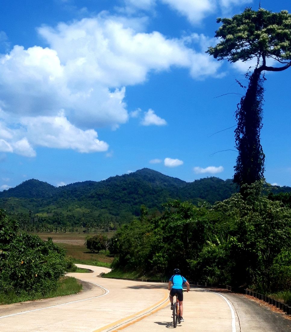 Two wheels, endless views, and pure freedom on the road