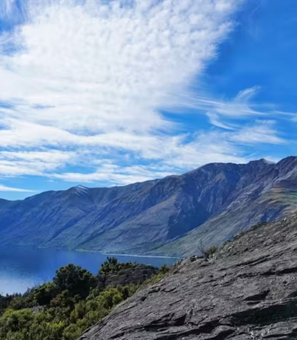 Go on a diverse group guided tour of the South Island