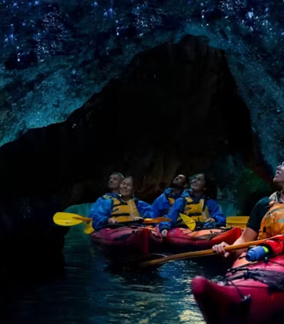 Go on a glowworm kayaking tour