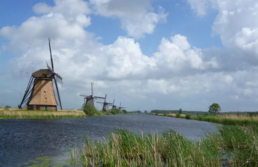 Windmills along water