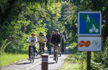 Cyclists on bike path