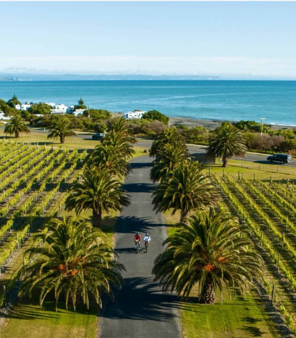 Ride Hawke's Bay on a guided cycle tour