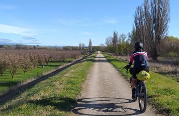 Cyclist riding along a pathway with vineyards one side