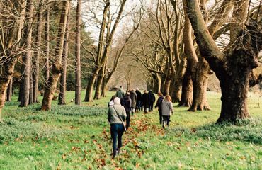 Poeple walking through woods