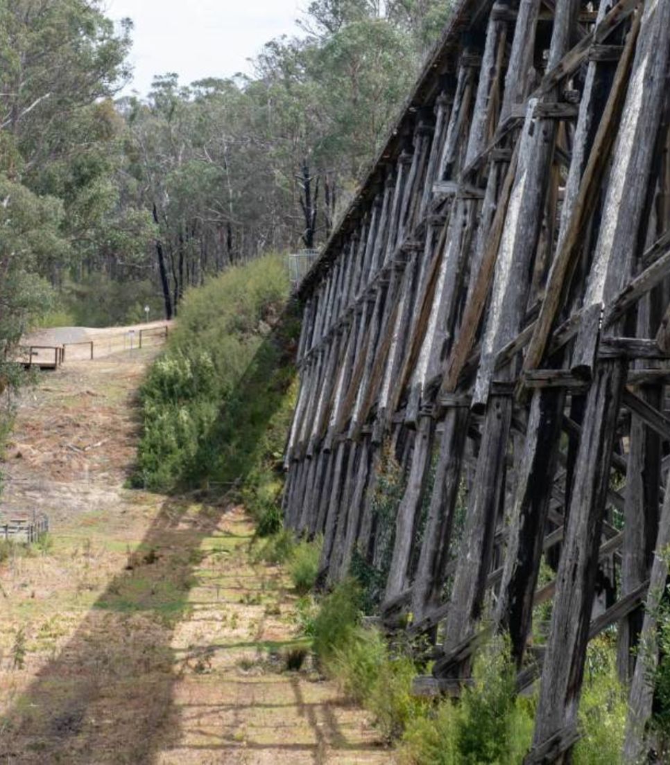 Experience a self-guided rail trail holiday