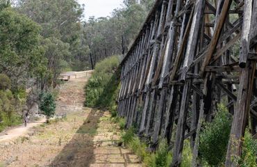 Cyclists with big old wooden trestle bridge