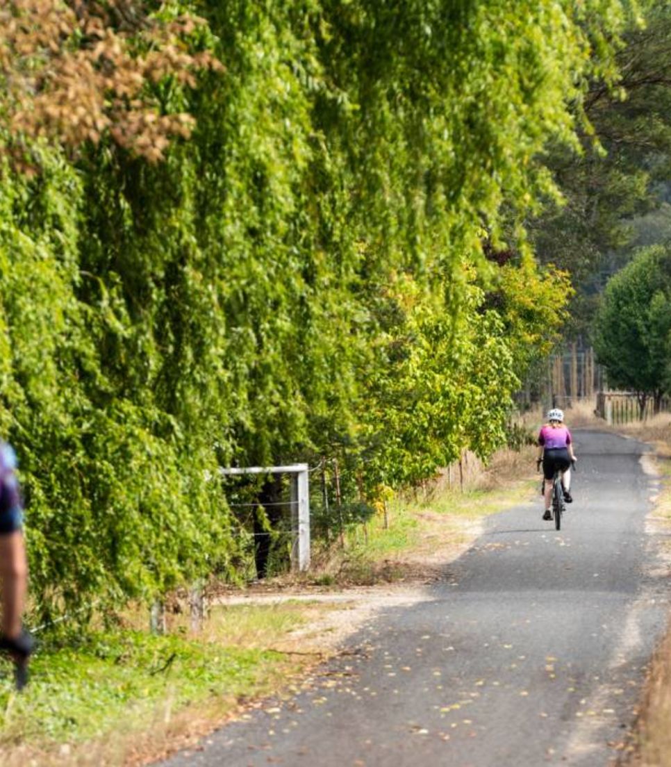 Explore a countryside cycle trail