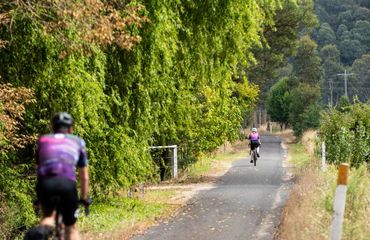 Cyclists riding on a trail next to trees