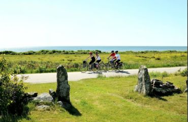 Standing stones and cyclists on a path through the grass