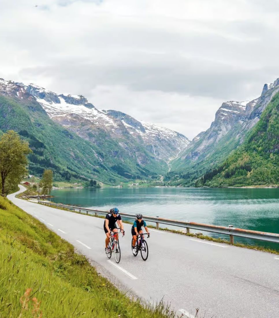 Discover the country on a road biking tour