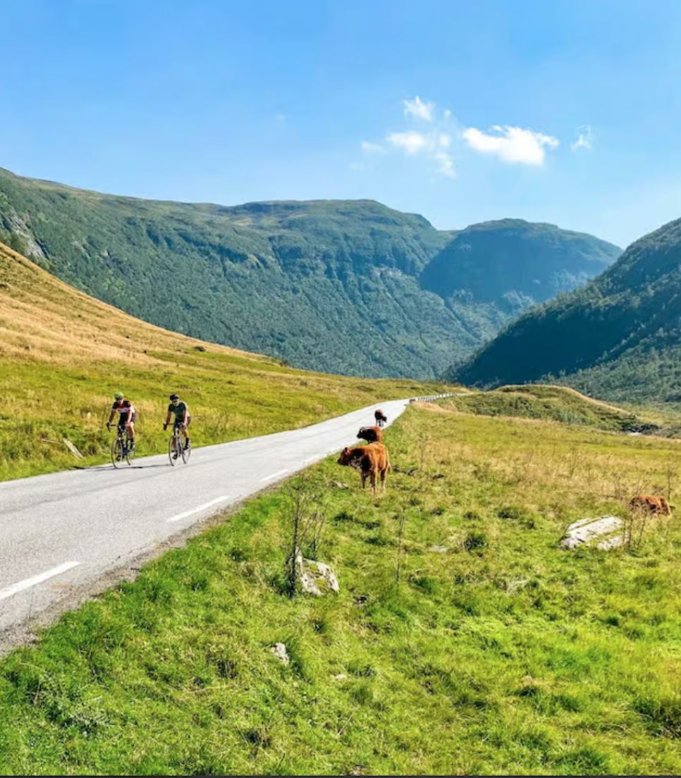 Bike tour Norway's astounding countryside