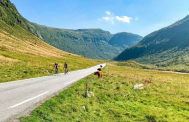 Cyclists on long road between green mountains