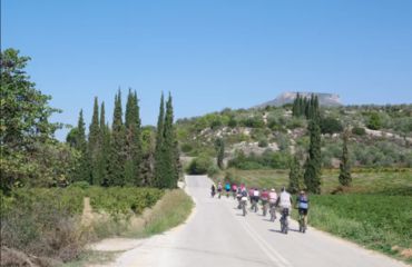 Cyclists on road with tree and village scenery