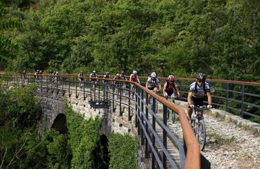 Cyclists traversing a bridge