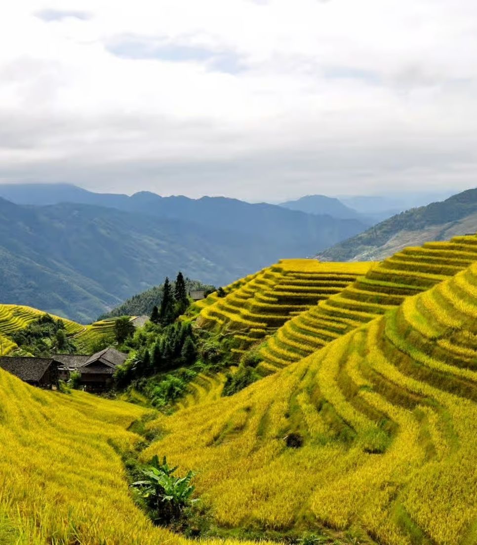 See the intricate and exquisite landscapes 