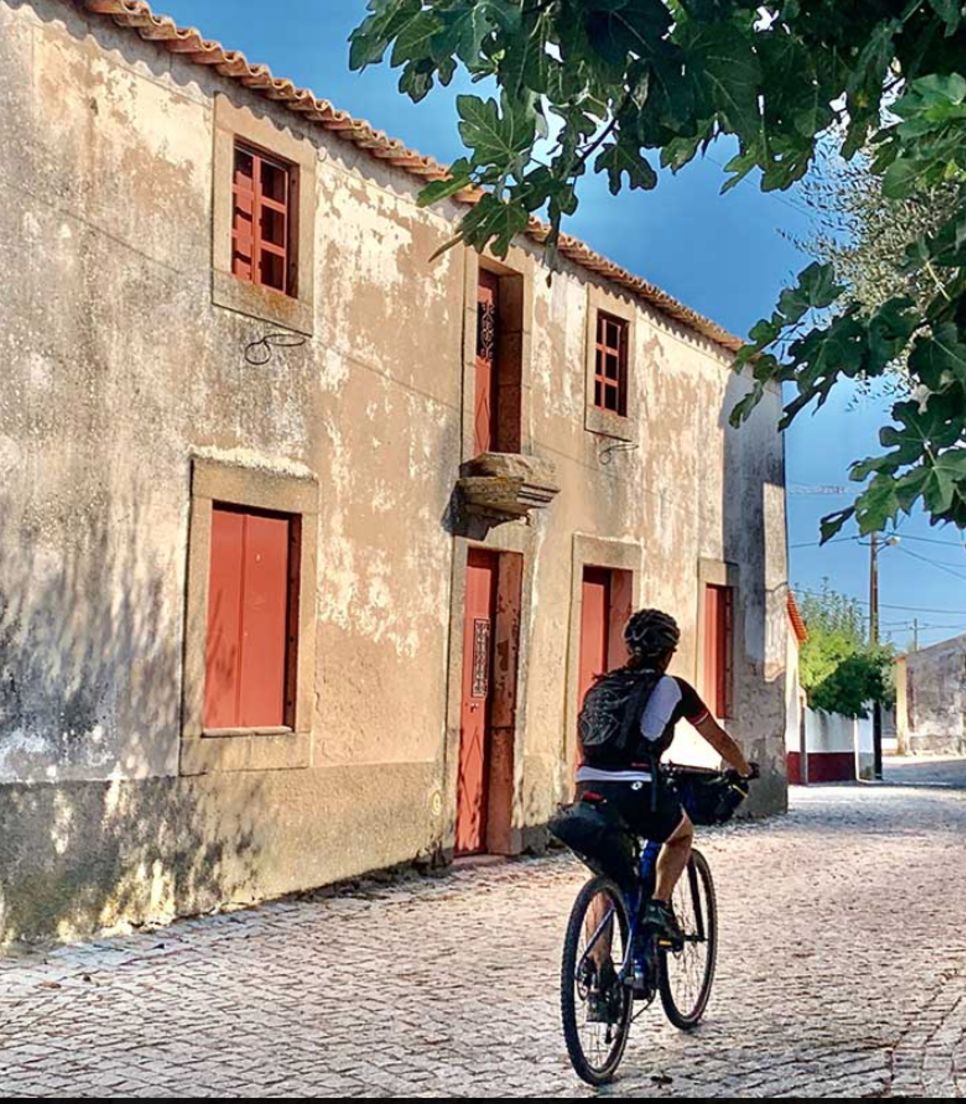 Go on a group tour with a detailed itinerary exploring the best bits of Portugal