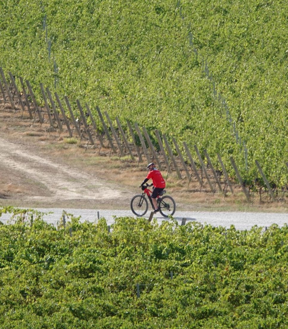Enjoy great gravel biking and lovely landscapes