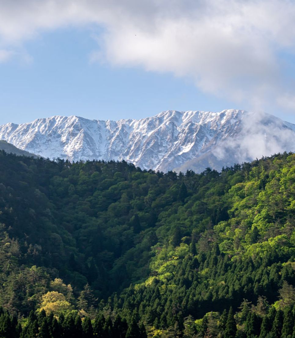 Ride along the slopes of an extinct volcano that towers over the region