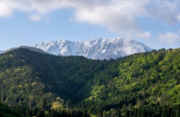 Snowy mountain view above trees