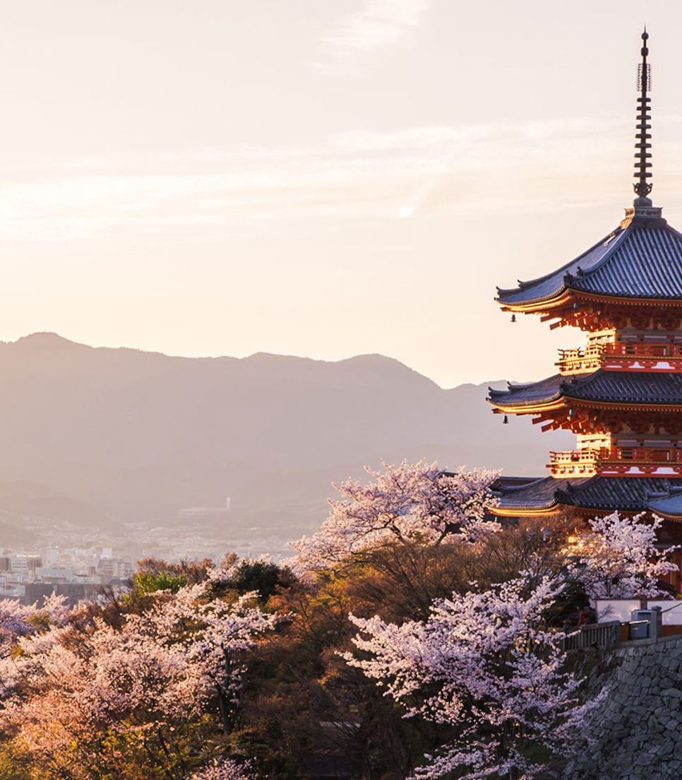 Experience Japanese culture and heritage on tour
