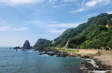 Rugged coastline with green forested hills