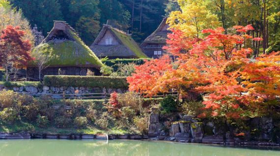 Visit this fascinating village famous for its thatched roof houses