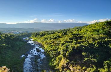 Forested hills and river towards mountain