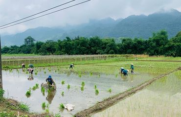 Fertile lands with workers in field