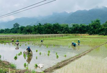 Road Cycling Hanoi to Hoi An