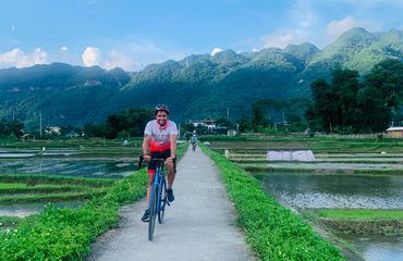Cyclists on road, in the middle of a rice field