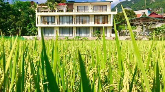 Wake up to rice field views and peaceful mornings at this serene hideaway in Vietnam