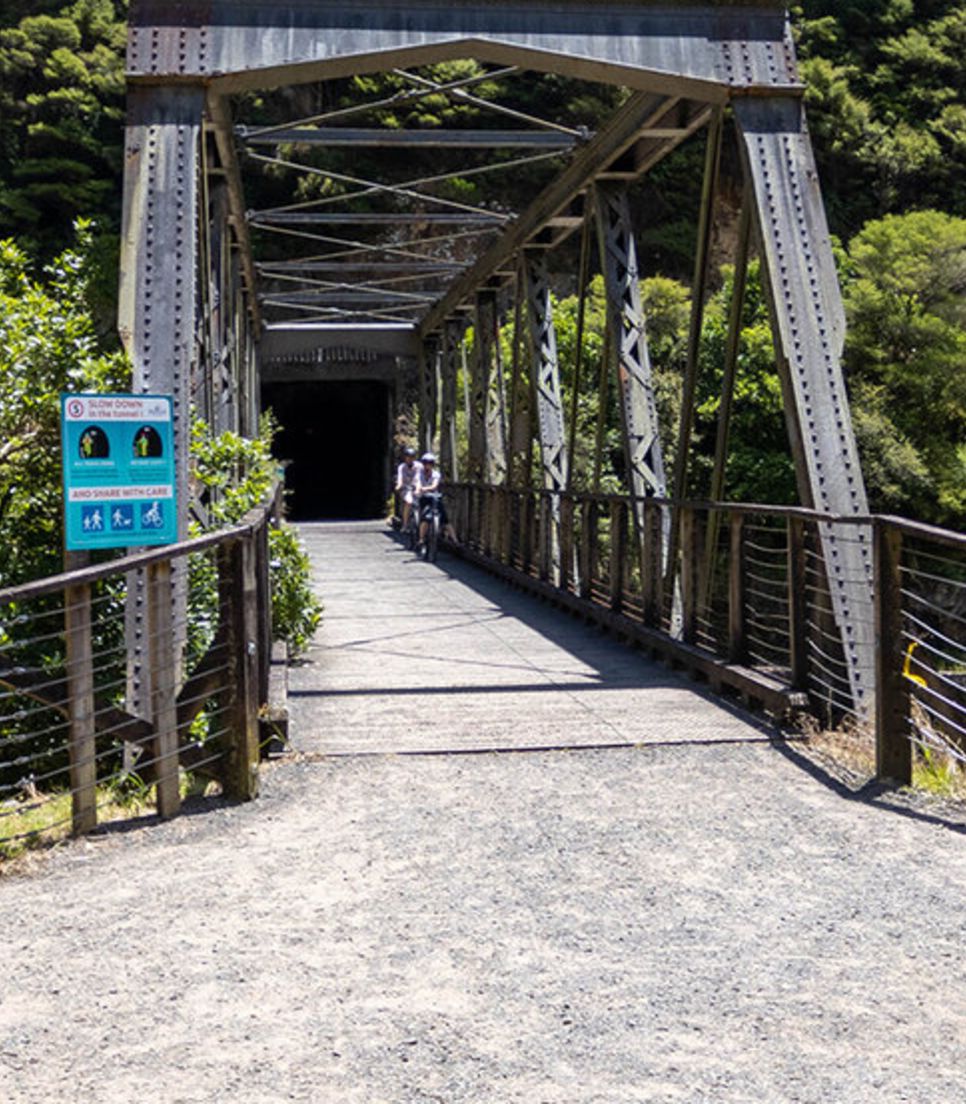 Take your loved ones on a fun and adventurous tour of the Hauraki Rail Trail