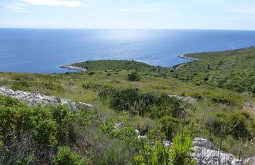 View of green hills down to the sea