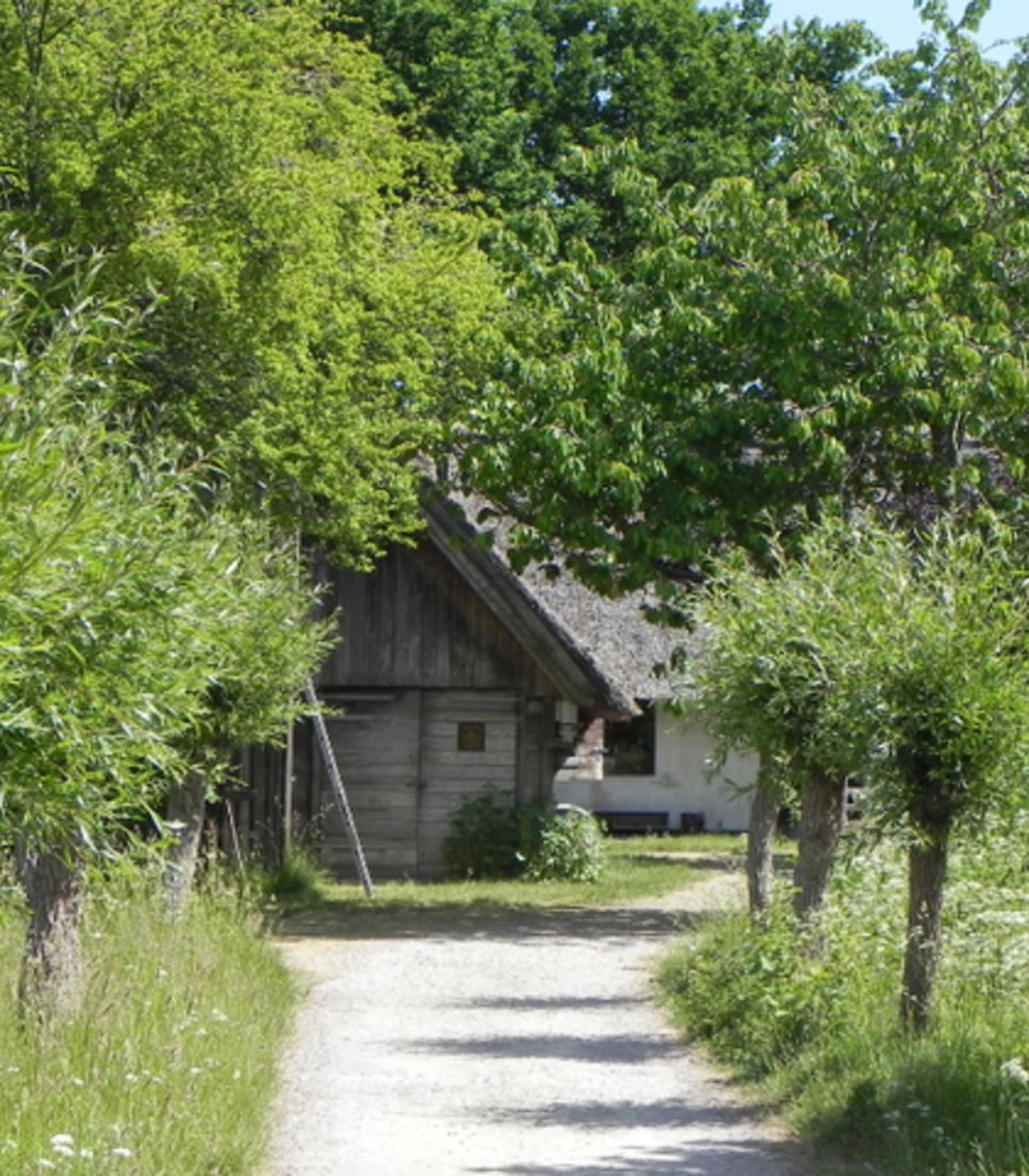 Explore Denmark and Sweden on a leisurely cycle tour