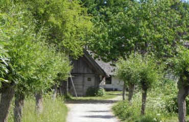 Pathway with trees leading to rustic building