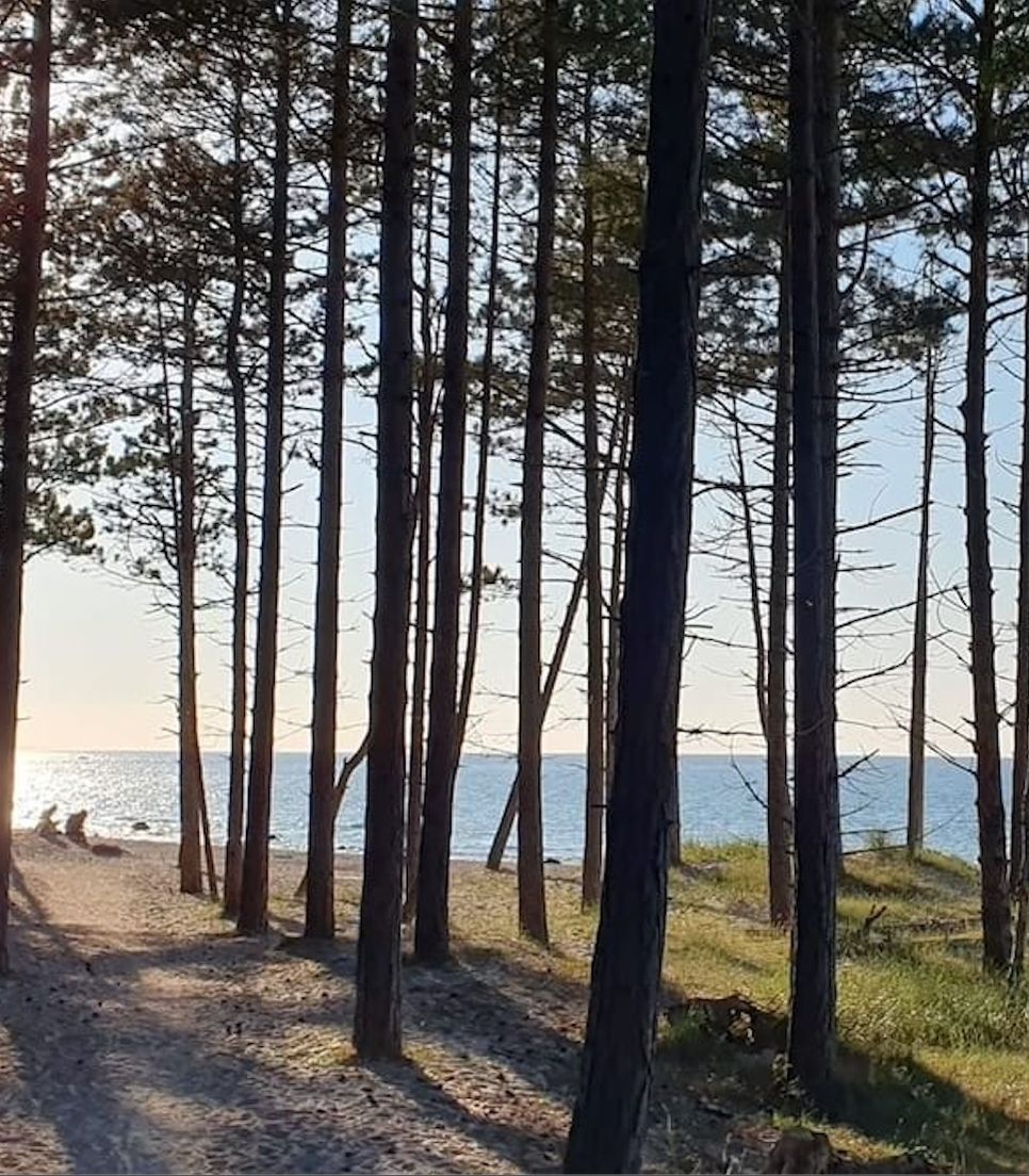 Escape to Scandinavia on an active break