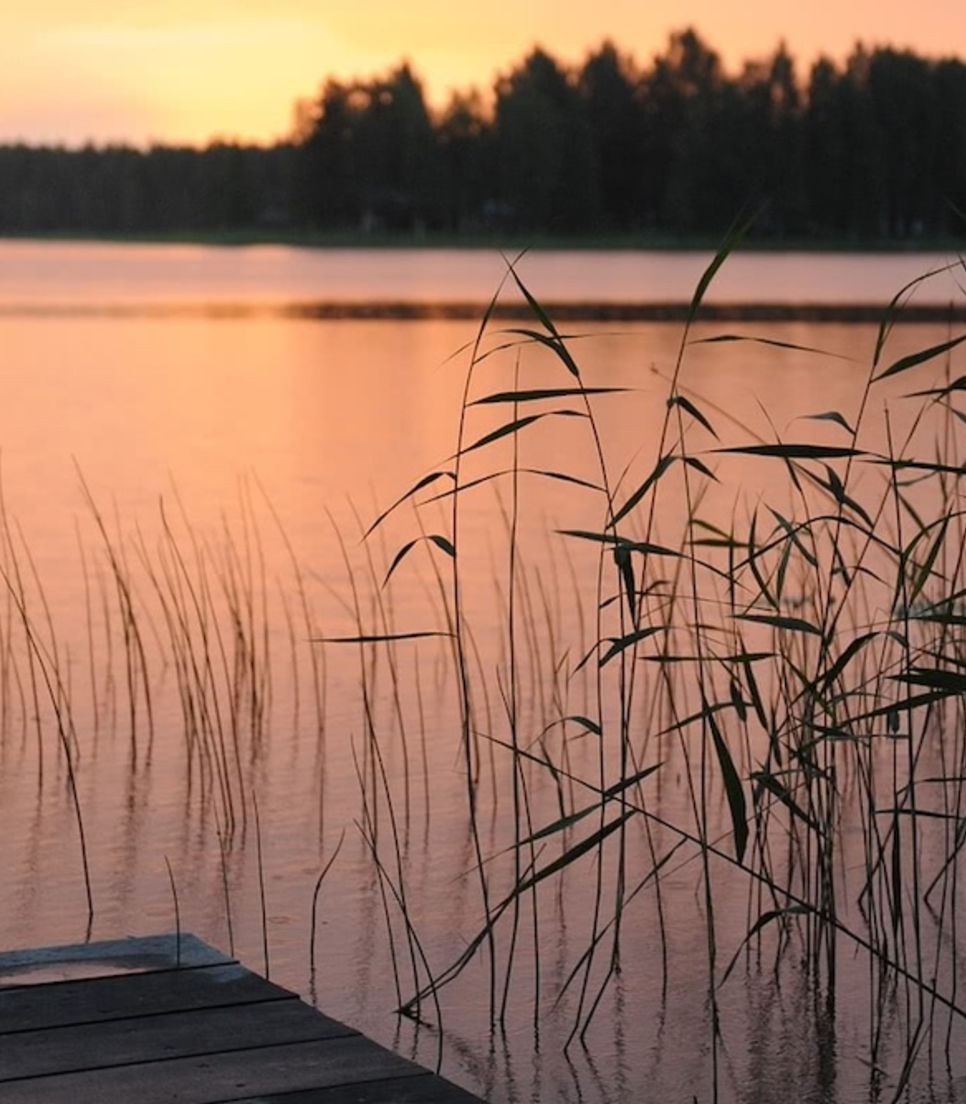 Discover Sweden and Denmark by bike