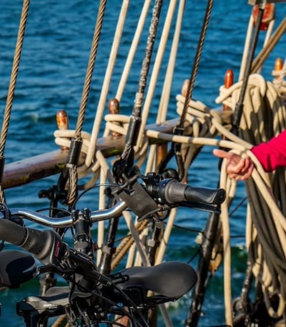 Enjoy the perfect combination of cycling and cruising