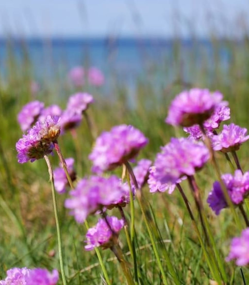 Discover the natural beauty on tour