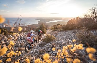 Two mountain bikers on coastal rocky trail with yellow flowers in the foreground