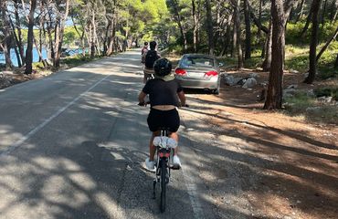 Cyclists on tree lined road by the sea