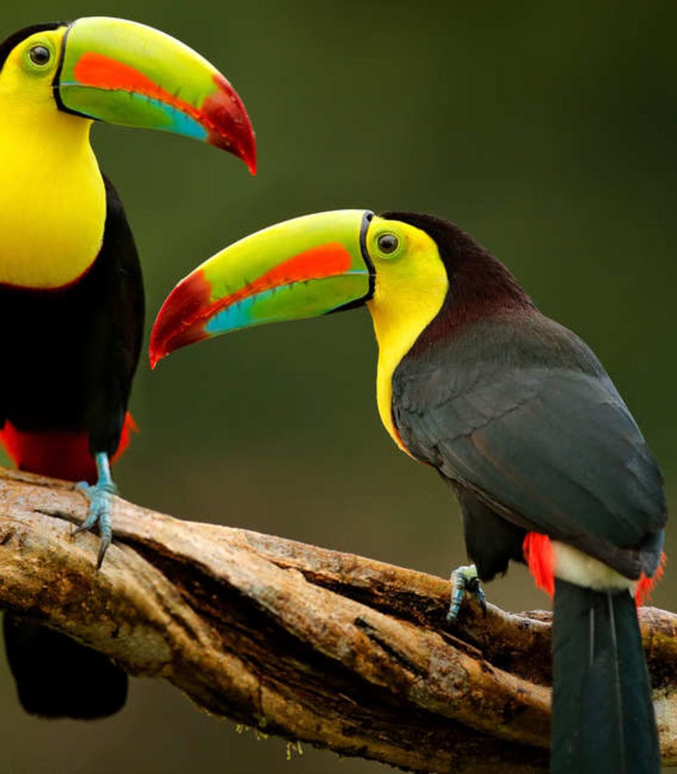 Enjoy the colorful natural surrounds on tour