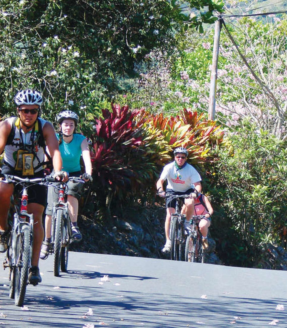Go on an organised cycle on a 14-day tour