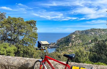 Bike leaning against a wall with ocean backdrop