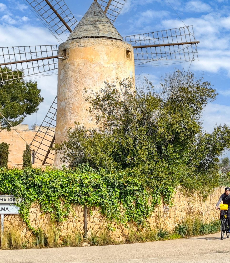 Discover a land of intrigue and charm